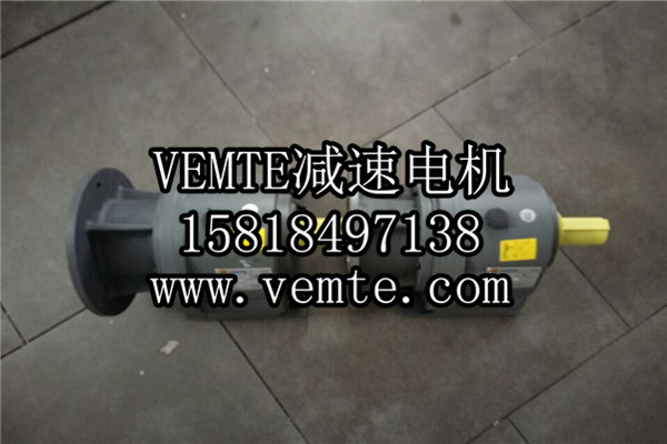立式齒輪減速機，臥式齒輪減速機,齒輪減速電機,齒輪減速馬達 (1)