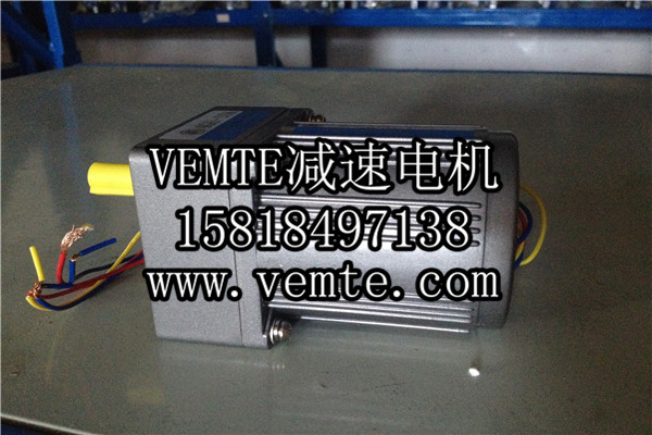 小電機(jī)，小型調(diào)速電機(jī),微型減速電機(jī) (2)